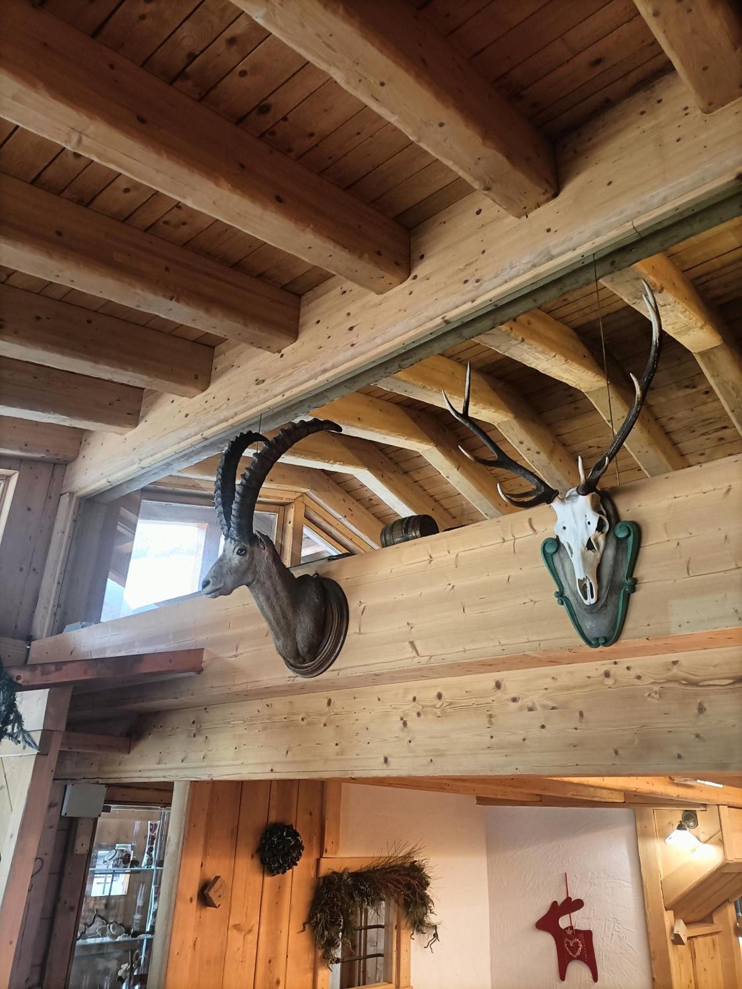 Chalet 1400 Nuova Gestione Limone Piemonte Kültér fotó
